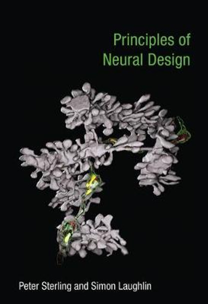 Principles of Neural Design by Peter Sterling