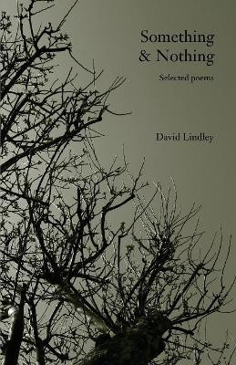 Something & Nothing: Selected Poems by David Lindley 9781907100017