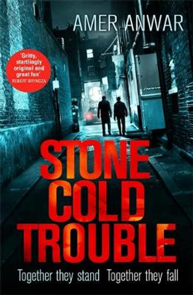 Stone Cold Trouble by Amer Anwar