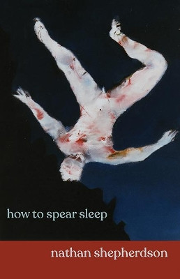 how to spear sleep by Nathan Shepherdson 9781848617414