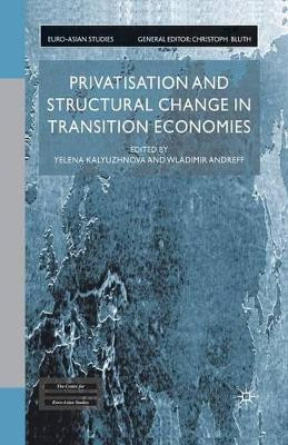 Privatisation and Structural Change in Transition Economies by Yelena Kalyuzhnova 9781349431267