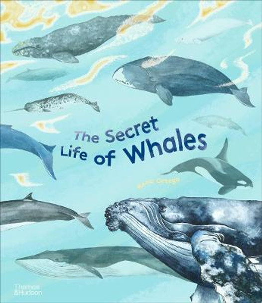 The Secret Life of Whales by Rena Ortega