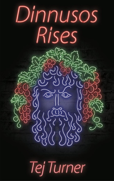 Dinnusos Rises by Tej Turner 9781911409038