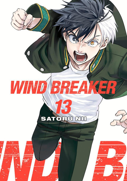 WIND BREAKER 13 Satoru Nii 9781646519606