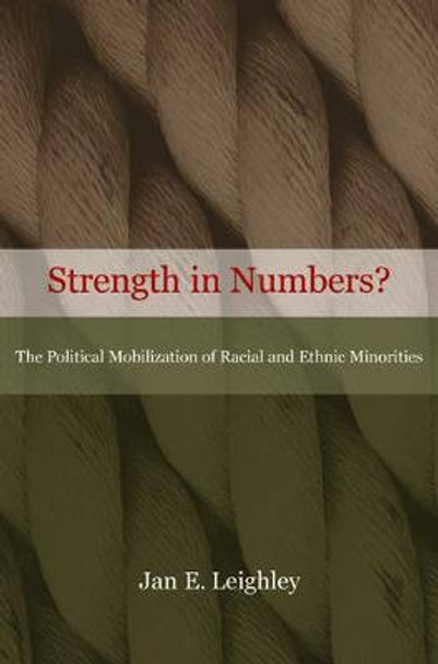 Strength in Numbers?: The Political Mobilization of Racial and Ethnic Minorities by Jan E. Leighley