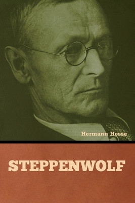 Steppenwolf by Hermann Hesse 9798888302187