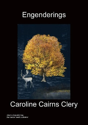 Engenderings by Cairns Clery 9781849919418