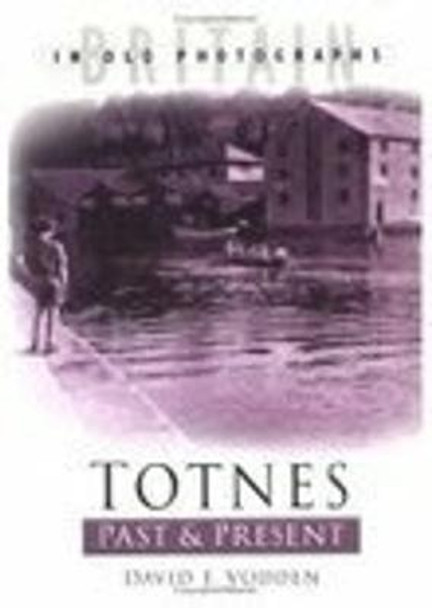 Totnes Past & Present by David F. Vodden