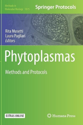 Phytoplasmas: Methods and Protocols by Rita Musetti 9781493988365