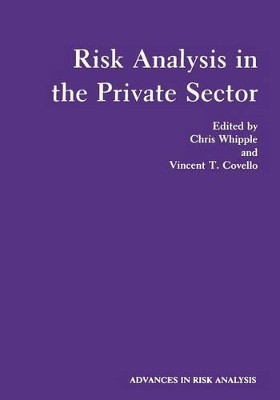 Risk Analysis in the Private Sector by Chris Whipple 9781461294962