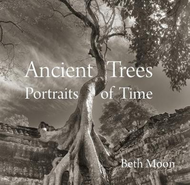 Ancient Trees: Portraits of Time by Beth Moon