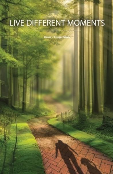 Live Different Moments: Finding Contentment and Peace after Change and Loss by Elaine J Clinger Sturtz 9798989125708