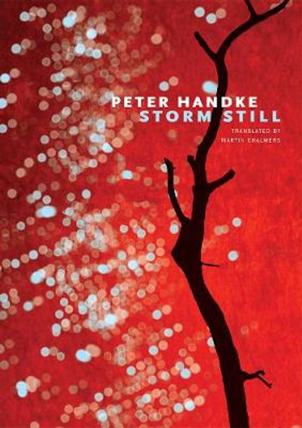 Storm Still by Peter Handke
