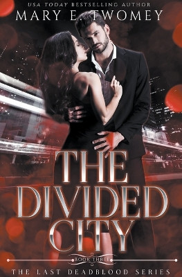 The Divided City by Mary E Twomey 9798223905103