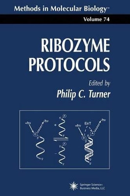 Ribozyme Protocols by Philip C. Turner 9781489942852