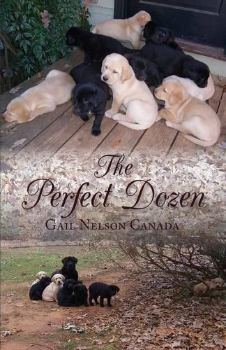 The Perfect Dozen by Gail Nelson Canada 9781939930620