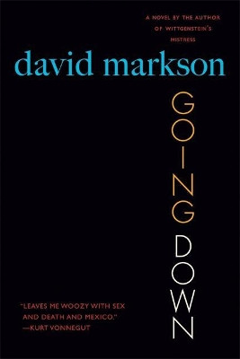 Going Down: A Novel by David Markson 9781593760649