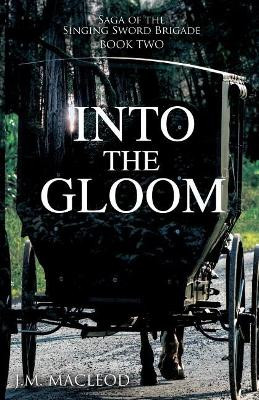 Into the Gloom by J M MacLeod 9781620209776