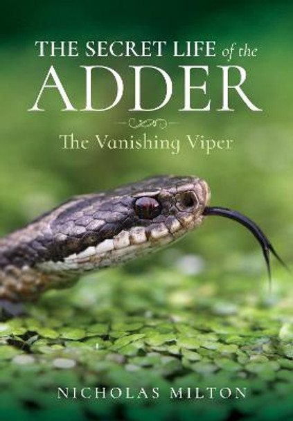 The Secret Life of the Adder: The Vanishing Viper by Milton, Nicholas