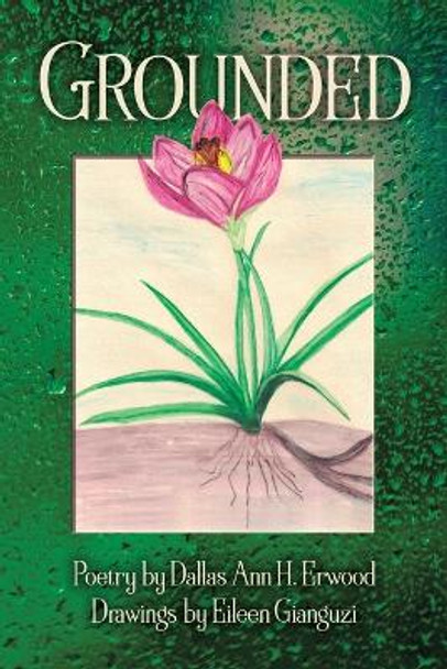 Grounded by Dallas Ann H Erwood 9781954604995