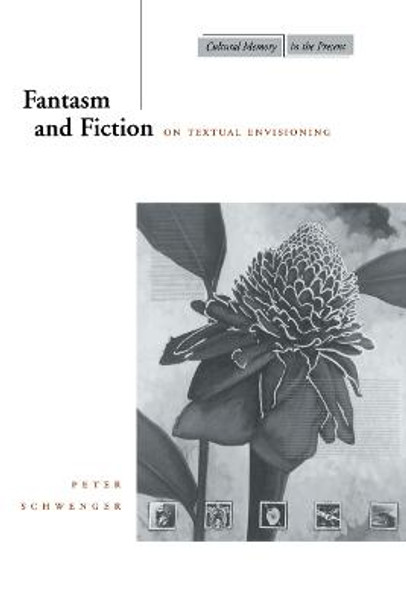 Fantasm and Fiction: On Textual Envisioning by Peter Schwenger