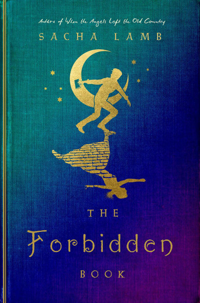 The Forbidden Book by Sacha Lamb 9781646144563