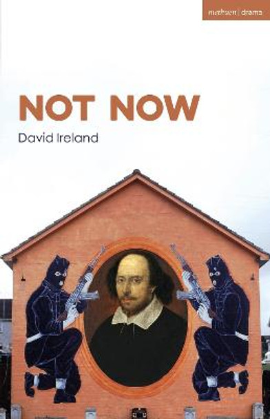 Not Now by David Ireland