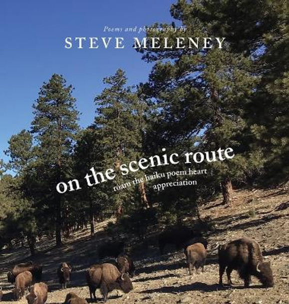 On The Scenic Route: roam the haiku poem heart appreciation by Steve Meleney 9798218397234