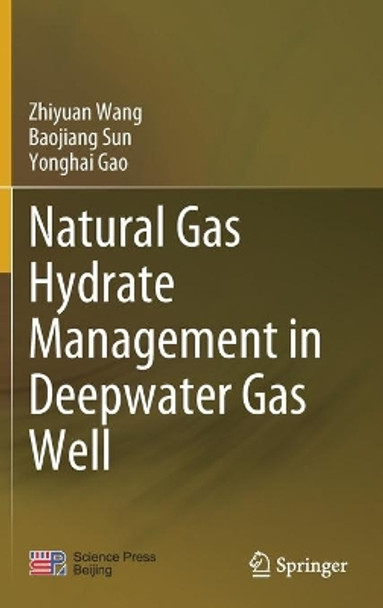Natural Gas Hydrate Management in Deepwater Gas Well by Zhiyuan Wang 9789811564178