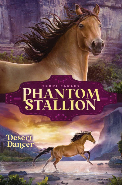 Desert Dancer by Terri Farley 9781665916509