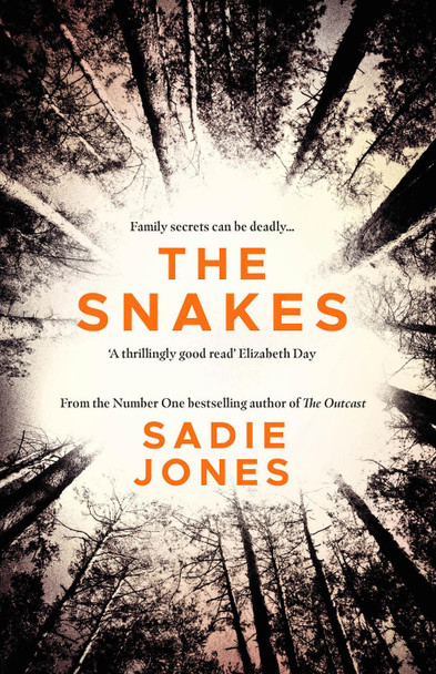 The Snakes: The gripping Richard and Judy Bookclub Pick Sadie Jones 9781784708825