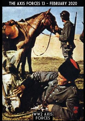 The axis force 13 by Massimiliano Afiero 9788893275583