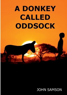 A Donkey Called Oddsock by John Samson 9781912416646