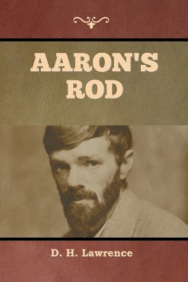 Aaron's Rod by D H Lawrence 9781636379098