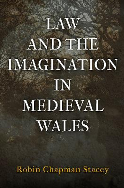 Law and the Imagination in Medieval Wales by Robin Chapman Stacey