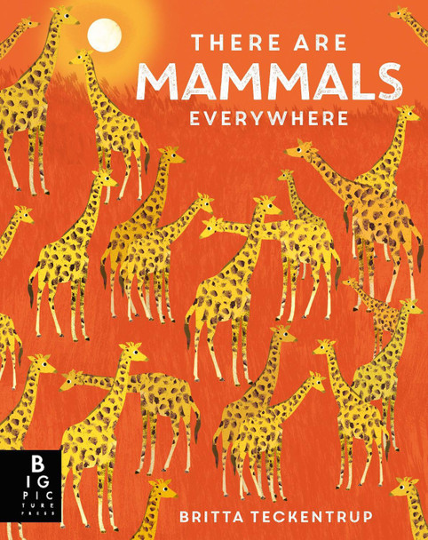 There are Mammals Everywhere by Camilla De La Bedoyere