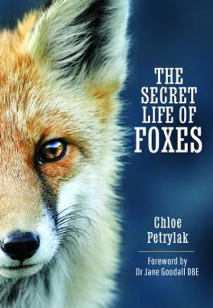 The Secret Life of Foxes by Chloe Petrylak