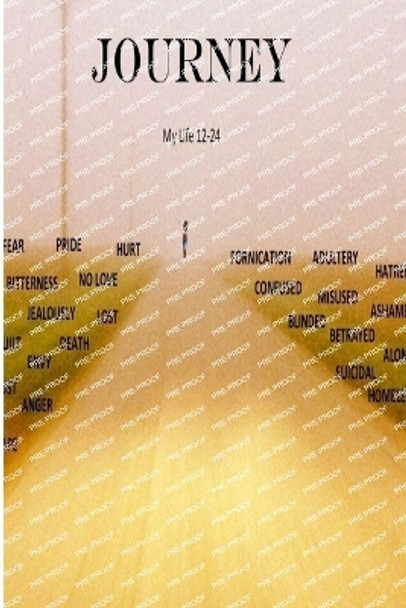 Journey: My story Gods Glory by Crystal Evans 9781943298006