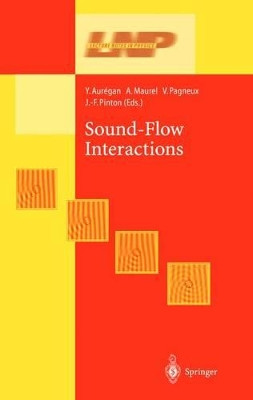 Sound-Flow Interactions by Yves Auregan 9783642077647