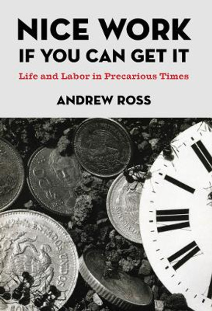 Nice Work If You Can Get It: Life and Labor in Precarious Times by Andrew Ross