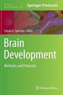 Brain Development: Methods and Protocols by Simon G. Sprecher 9781627036542