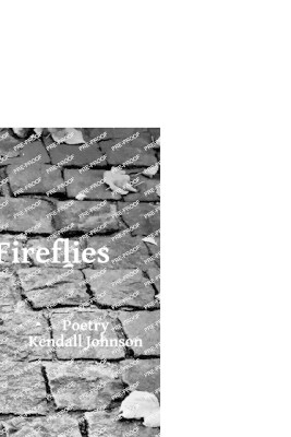 More Fireflies by Kendall Johnson 9781732691162