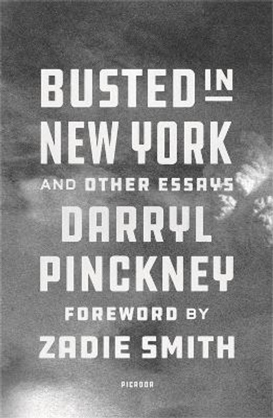 Busted in New York & Other Essays: with an introduction by Zadie Smith by Darryl Pinckney