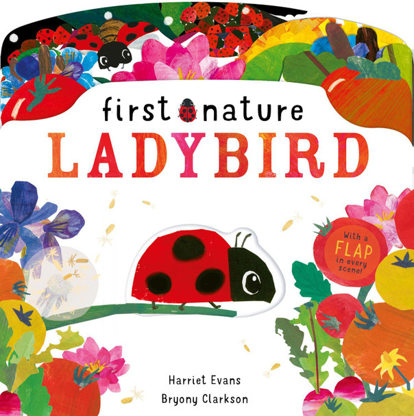 Ladybird by Bryony Clarkson 9781838911560