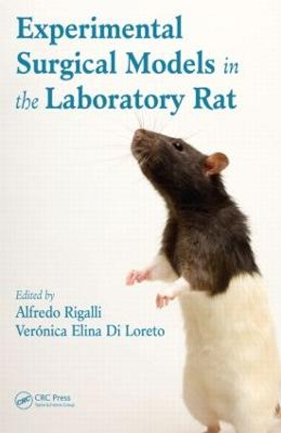 Experimental Surgical Models in the Laboratory Rat by Alfredo Rigalli