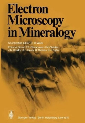 Electron Microscopy in Mineralogy by P. E. Champness 9783642661983