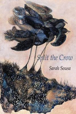 Split the Crow by Sarah Sousa 9781602356351
