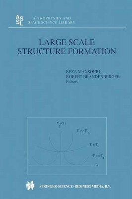 Large Scale Structure Formation by Reza Mansouri 9789401058186