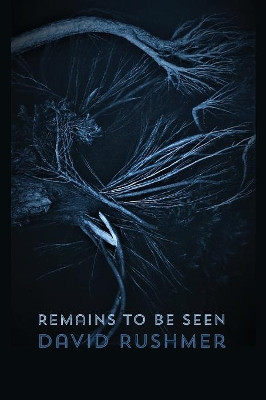 Remains to Be Seen by David Rushmer 9781848615823