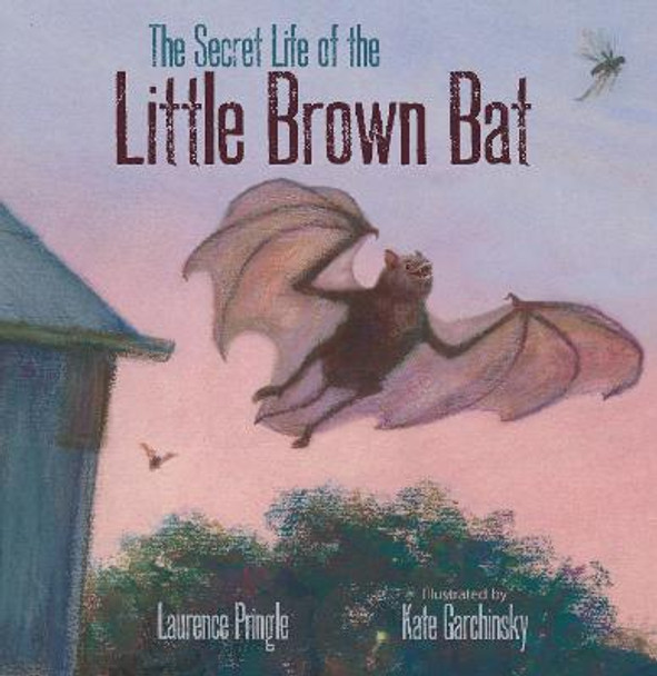 The Secret Life of the Little Brown Bat by Laurence Pringle The Secret Life of the Little Brown Bat by Laurence Pringle